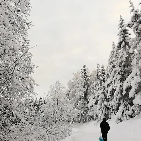 Domaine De Siane * Plaine