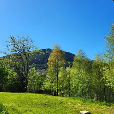 Domaine De Siane *